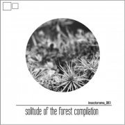 VA - Solitude Of The Forest Compilation (2020)