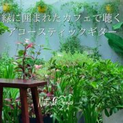 Natural Sonic, ナチュラルソニック - Listening to acoustic guitar at a café surrounded by greenery (2026) Hi-Res