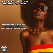 VA - Soulful Evolution The Best Of 2025