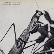 Courtney Barnett - Creature of Habit (2026)