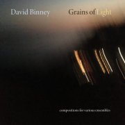 David Binney - Grains Of Light (2025) Hi-Res
