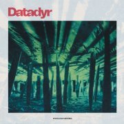 Datadyr - Woolgathering (2022) Hi-Res