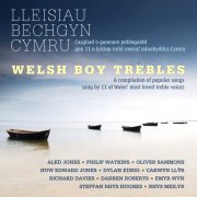 VA - Lleisiau Bechgyn Cymru (2013) [Hi-Res]