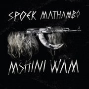 Spoek Mathambo  - Mshini Wam (2010)