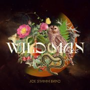 Joe Stamm Band - Wild Man (2023)