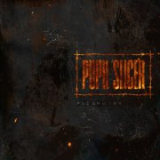 Pupil Slicer - Fleshwork (2025) Hi-Res