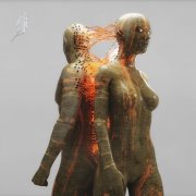 VA - Timeless, Vol. 25: Golden Hour (2026)