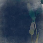 Mirai No Hagaki – lingering tears (2025)