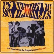 VA - Psychedelic Schlemiels Vol.1: Lost Sounds from the Britpsych Scene 1966-1969 (2007)