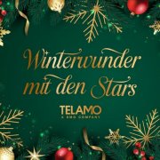 VA - Winterwunder mit den Stars (2025) Hi-Res