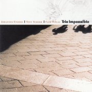 Johannes Enders, Tony Scherr, Falk Willis - Trio Impossible (1997)