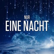 VA - Nur eine Nacht (2020)