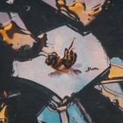 Stain the Canvas - Honey Rot (2025) Hi-Res