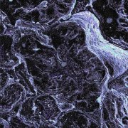 Gavelman - Orb Age (2026)