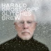 Harald Grosskopf - Glitches Brew (2026)