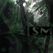 Ism - Micronui (2018)