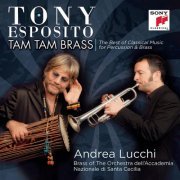 Tony Esposito - TAM TAM BRASS (2013) [.flac 24bit/44.1kHz]