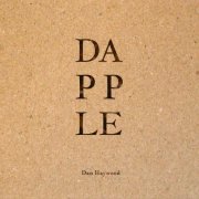 Dan Haywood - Dapple (2020)