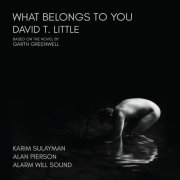 Karim Sulayman, Alarm Will Sound Ensemble & Alan Pierson - Little: What Belongs to You (2026) [Hi-Res]