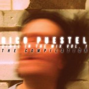 VA - Vinyl in the Mix Vol. 1 – The Compilation (2025)