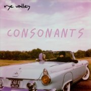 Rye Valley – Consonants (2025)