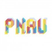 Pnau - PNAU (2008)