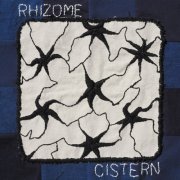 cistern - Rhizome (2025) [Hi-Res]