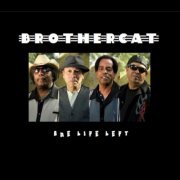 Brothercat - One Life Left (2010)
