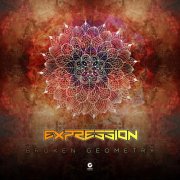 Psilocybe Project - Broken Geometry (2026)