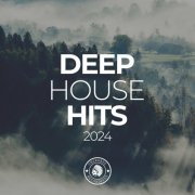 VA - Deep House Hits 2024 (2024)