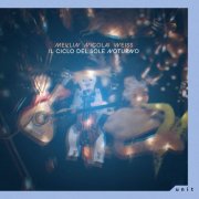 Anna-Kaisa Meklin, Giancarlo Nicolai & Sandra Weiss - Il Ciclo Del Sole Noturno (2026) Hi-Res