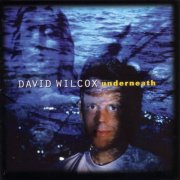 David Wilcox - Underneath (1999)