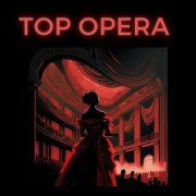 VA - Top Opera (2023)