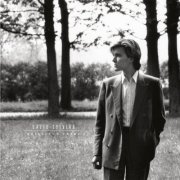 David Sylvian - Brilliant Trees (2019 reissue) LP