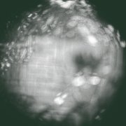 Spyros Polychronopoulos - Nearfield (2025) [Hi-Res]