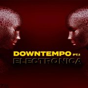 VA - Downtempo Electronica, Pt. 1 (2025)