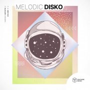 VA - Melodic Disko Vol. 11 (2026)