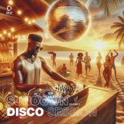 VA - Sundown Disco Session, Vol. 2 (2024)