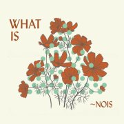~Nois - What is ~Nois (2026)
