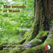 Fulvio Fiorio, Gabriele Fiorio - The Sounds of Wood (2024) [Hi-Res]