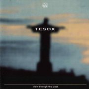 Tesox - View Through The Past (1995)