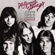 The Hollywood Stars - Shine Like a Radio: The Great Lost 1974 Album (2018)