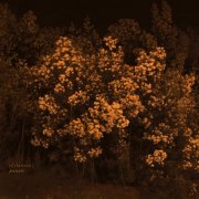 o[rlawren] - Poiesis (2025)
