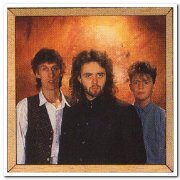 The Icicle Works - Discography (1984-2013)