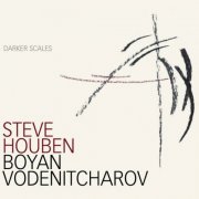 Steve Houben - Darker Scales (2011)