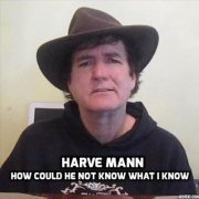 Harve Mann - How Could He Not Know What I Know (2018)