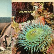 Mountain Time - Dream Homes (2024) [Hi-Res]