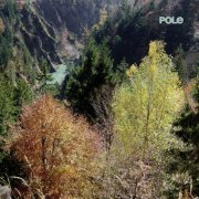 Pole - Wald (2015)