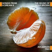 Avi Adrian Trio - Songs from a Dream 2 (2022)