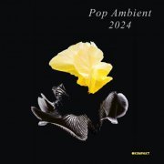 VA - Pop Ambient 2024 (2023)